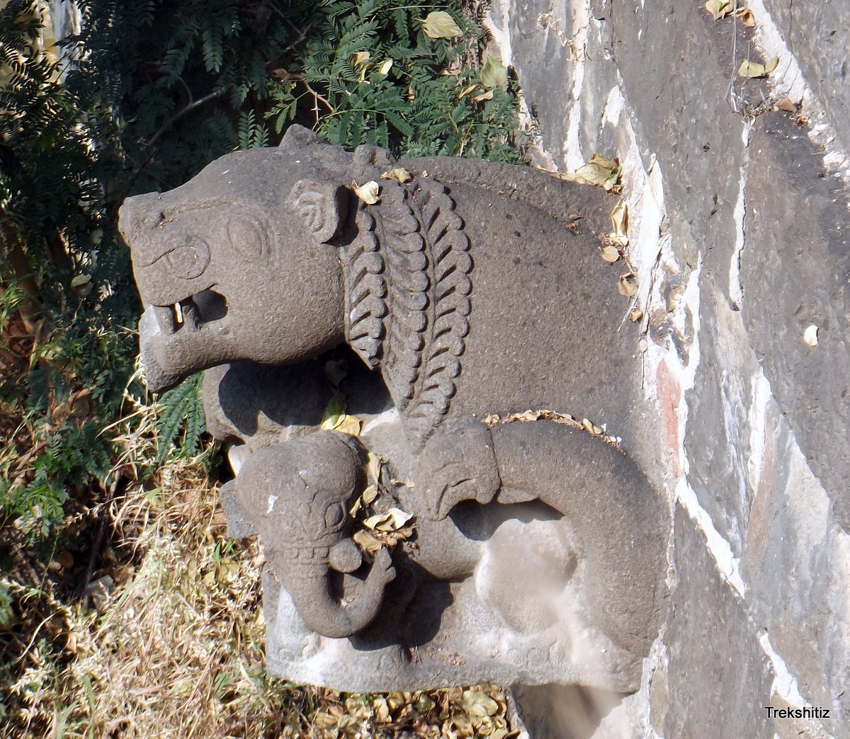 Nagar Fort